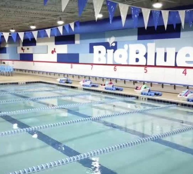 Big Blue Swim School (Falls&nbspChurch,&nbspVA)